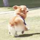 파리에다녀온치킨 네이버블로그