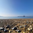 빛과갯벌-1 이미지