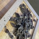 협동조합고랑이랑 이미지