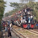 만원이네 이미지