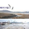 석모도해미지영농조합법인 네이버블로그
