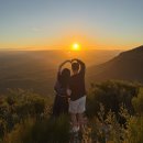 (주)진우여행 | 호주 시드니 여행 블루마운틴 페더데일 동물원 호주무한투어 소그룹