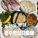 소담횟집 | [경주횟집지중해]프라이빗한 룸에서 즐기는 경주 동천동 횟집/1인 1접시 회 먹은 후기