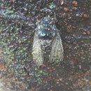 금구리마을회관 이미지