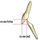 서울고른이치과교정과치과의원 이미지