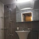 동아목련 이미지