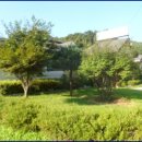 여주-1107 이미지