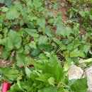 풍경민박 이미지