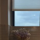 느티나무농장 | 양산 카페 추천 느티나무의사랑, 보랏빛 라벤더 축제가 기대되는 내돈내산 대형카페