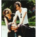 베이시스 이미지