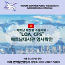 비채 행정사사무소 이미지