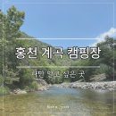 반려견 동반 가능한 홍천 캠핑장 추천, 을수골별빛계곡 캠핑장 내돈내산 후기