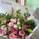 더피우리 이미지