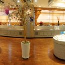 아이플렉스 이미지