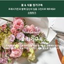 란플라워화훼 이미지
