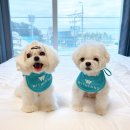 위드커피2호점 이미지