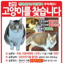 초원파크 이미지