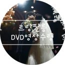 플라워카페 가인 | w. 르랑필름 인천아시아드웨딩홀 그레이스홀 본식 DVD 촬영 및 영상 수령 후기