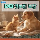 아이러브펫동물병원 - 은평구 통일로 1050 | DB 펫보험 보장 범위와 현실적인 실비 정산금 계산법