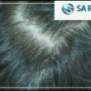 도봉-도봉-서울도봉-2312 이미지