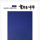 『늘푸른나무』 14호 표지 이미지