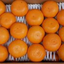 한밭농장 이미지