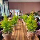 성암 농장 이미지