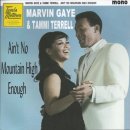 Marvin Gaye & Tammi Terrel - Ain't No Mountain High Enough 이미지