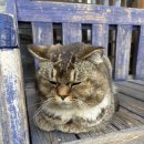 가평 페르마타 계곡 펜션 이미지