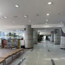 탁구(야간)중급 | 강원도 태백 스키장 오투리조트 실버 숙박 후기