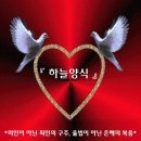 구주 Daum카페