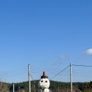 컨츄리로드커피 | 태안 카페 컨츄리 로드 커피 시골 감성 추천 후기