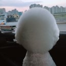 너애개만 이미지