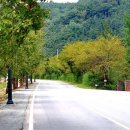 담양송죽헌 이미지