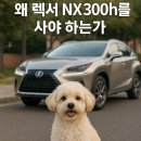 왜 렉서스 NX300h를 선택해야 하는가 – 실제 오너들의 후기 기반 실사용 리뷰