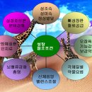 성장치료제 / 시중에 나오는 키크는 약 효과있어요? 이미지