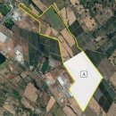 윤영석 농장 이미지