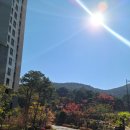 신성중고등학교 이미지