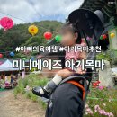 목마 | 아빠의 육아템 미니메이즈 아기목마 G4 내돈내산 후기