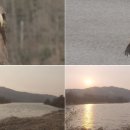 박상현농장 이미지