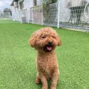 아이조아 이미지