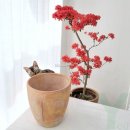 아토앤유 이미지