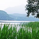 강변에서 이미지