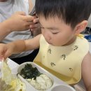 송풍골 | 👶🏻+806-10, 월화수목금 5일 동안 가정보육 (feat. 아데노바이러스 의심)