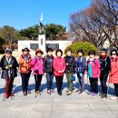 돼지방 이미지