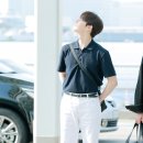 왕자센타 이미지