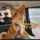 CU 용두으뜸점 이미지