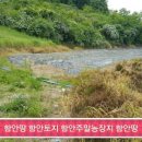 남지부동산 이미지