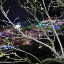 청도프로방스불빛축제카라반펜션 이미지