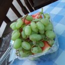 밀양관광펜션 아름드리 이미지